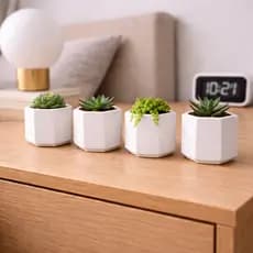 Kit 4 Vaso de Plantas Suculentas Vaso Decorativo em Gesso para  Decoração Sala Pequena Mesas