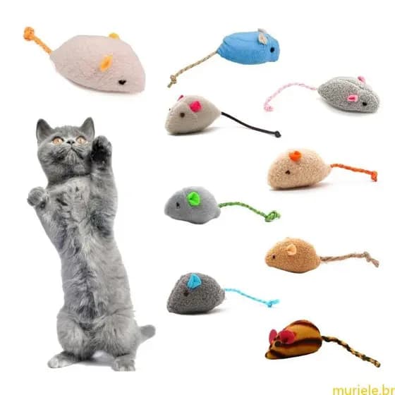 Mur 8 Peças Brinquedo Dentição Para Gatos Formato Ratos Coloridos Gatinhos Mastigar Melhor Atrair Desenho Animado