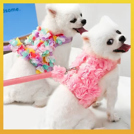 [Daliya] Conjunto de Peitoral Ajustável com Decoração Floral Fofa e Trela - Adequado para Cães e Gatos
