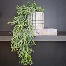 Pendente Chifre de Veado Artificial – Planta Decorativa 77cm