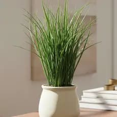 Buquê de Capim Vanilla Artificial 45cm – Folhagem Decorativa