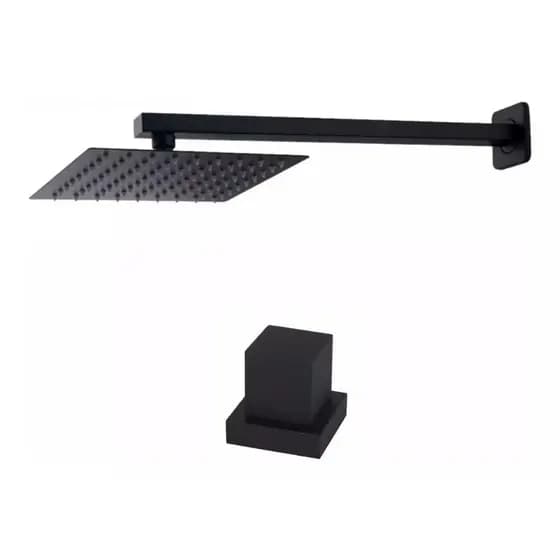Ducha Chuveiro Solar Piscina 20x20 Paradise Em Inox Preto Com 1 Acabamento Metal Ducha