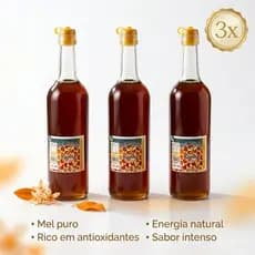 Mel Silvestre 100% Puro Orgânico Abelha Rainha 900ml – Garrafa de Vidro – MG