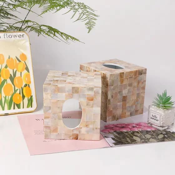 Ela concha caixa de papel luz estilo luxo simples e moderno casa criativa mesa café armazenamento europeu caixa tecido s