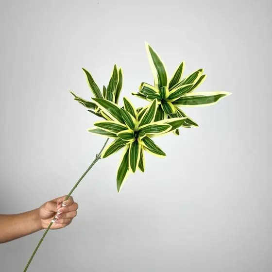 Planta Artificial Dracaena c/ 3 Botões Decoração de Casamentos, Restaurante de Casa - MY802978