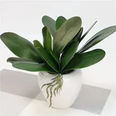 Folha De Orquidea Raizes Arranjos Artificiais Lindas Flores toque real - ZH800407