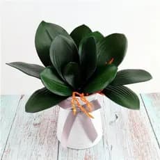 Folha De Orquidea Raizes Arranjos Artificiais Lindas Flores - ZH800407