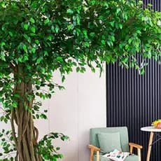 Folhas Ficus artificial com 42 folhas P/ Decoração Casamento, Arranjos, Decorar Festas - BH802259