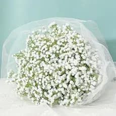 kit 6/12 Galho Plantas Mosquitinhos 63cm Gypsophila Artificial Decoração Decorar Festas Branco