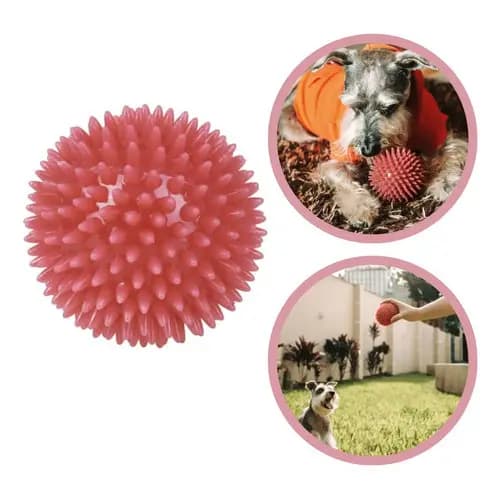 Brinquedo Bola Espinho Plástico Pet 8cm Cães Mor Rosa