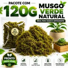 120g Musgo Verde Natural para Artesanato Decoração de Vasos Flores Paisagismo