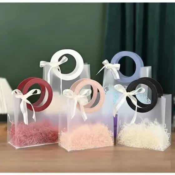 Bolsa Sacola Transparente Fosca Com Alça Redondo Pequena 16x18 cm Para Praia Lembrancinha de Aniversario Presente