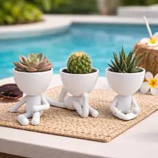 Kit 3 Vasinhos Robert Plant Decoração Vários Tamanhos Várias Cores Decorativos Suculentas Cactos Planta Decoração