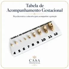Tabela Gestacional Fetos Em 3d Plástico Cor Natural Com Base ideal para médicos consultório