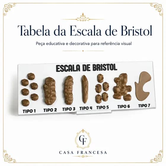 Escala De Bristol, Tabela Com Com Material Em Pla Resistente top consultório médico
