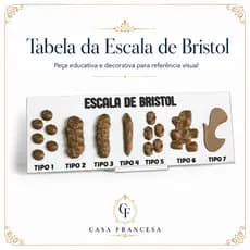Escala De Bristol, Tabela Com Com Material Em Pla Resistente top consultório médico