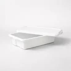 Recipiente Para Churrasco Tampa Caixa Plástica 12L Para Temperar Transportar Carnes Espetinhos