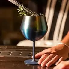 420ML Taça Copo Térmico De Aço Inoxidável 2 Em 1 Para Gin Vinho Drink Bebidas 14oz(SEM TAMPA E CANUDO)