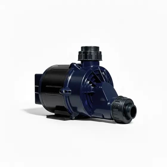 Motobomba com Filtro 1Cv Para Banheiras Hidromassagem Spa  220v
