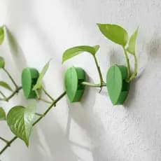 Gancho Adesivo Suporte Plantas Fixador de Galhos Trepadeiras