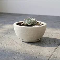 Vaso de Planta Decorativo Bacia Redonda Família Grafiato