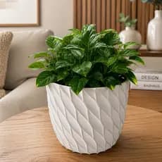 Vaso Cachepot Ondas - alta qualidade impressão 3D