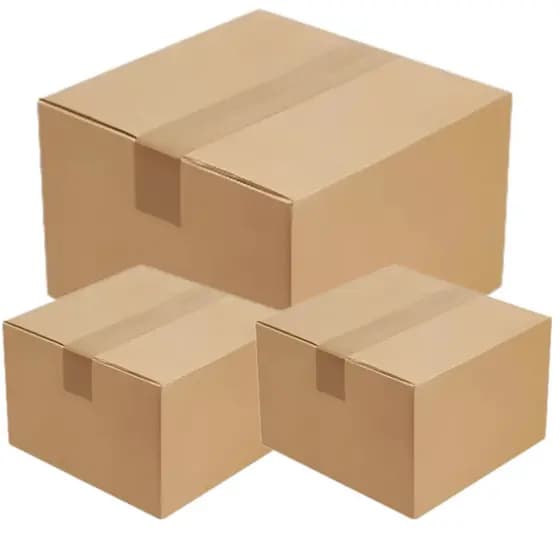 Caixa Organizadora Master 23kg