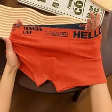 Kit 5 Cuecas Boxer Masculinas Sem Costura Microfibra Confortável Cores Sortidas