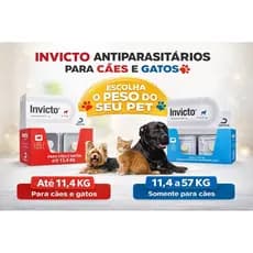 Invicto Antipulgas para Cães e gatos - Alívio Rápido em 15 Minutos