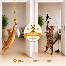 Kit 2 Brinquendos para Gatos Varinha Interativo com Ventosa +  Lagarta com Pena Sino e Corda para Pendurar