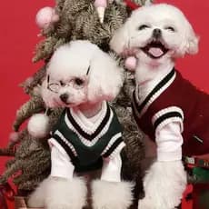 Suéter Para Cachorro E Gato Estilo Colete Listrado Com Decote Em V Roupas Quentes Animais De Estimação XS-5XL