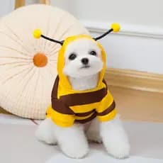 Abelha Cão Transformação Traje Com Capuz Outono E Inverno Casaco Para Animais De Estimação Roupas Cachorro Gato Hallowee