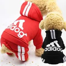 [7 Cores] Moda Roupas Para Cachorros E Gatos , Esportivas Animais De Estimação , Suéter Com Capuz Cachorro , Casaco Casu