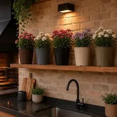 Vasos Pote Plástico - Para Mudas, Rosa do Deserto, Plantas em Geral