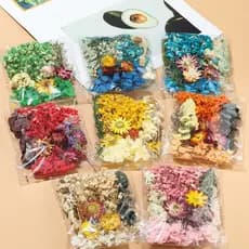 Flores Secas Preservadas Materiais Resina Epóxi Velas DIY Florais Hortênsia Uma Variedade De Em Um Pacote