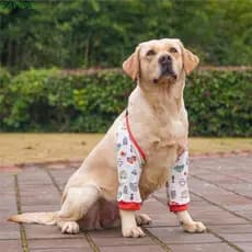 Mangas De Cotovelo Para Cães RAPIDO , Protetor De Cachorro De Algodão Com Padrão De Desenho Animado , Joelheiras Macias
