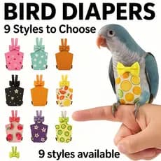 Fraldas adequadas para papagaios, anti-manchas e à prova de vazamentos, estilo bolso, especializadas para aves Peri TV1D