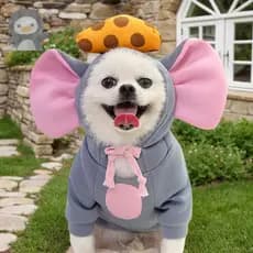 Fantasia De Cachorro Halloween Pet Cosplay Mouse Costume Com Capuz Cordão