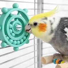 Disco Giratório Interativo Brinquedo Educativo 30 cores disponíveis para Aves, Papagaio, Periquitos, Calopsitas BGG0169