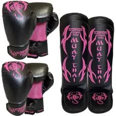 Duas Luvas Muay Thai e um Par de  Caneleira Competição - Treino