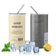 Copo Garrafa Térmico 600ml Inox Portátil com Alça e Canudo Copo Térmico Inox Portátil Parede Dupla a Vácuo