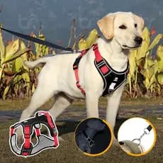 Peitoral de Passeio para Cachorro de Médio a Grande Porte Colete para Cães Ajustável Faixa Refletor Arnês Coleira