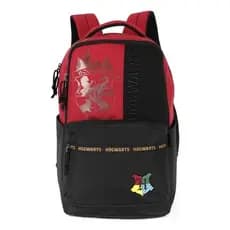 Mochila Costas Juvenil Escolar Unissex Harry Potter Hogwarts