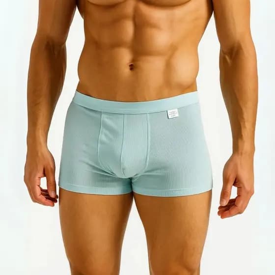 Cueca Boxer Masculina Poliamida Sem Costura Premium Aleatorias Conforto