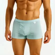 Cueca Boxer Masculina Poliamida Sem Costura Premium Aleatorias Conforto
