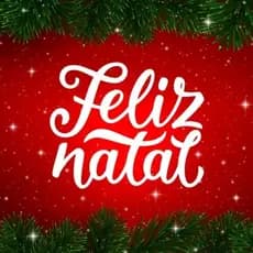 Kit com 10 Gorros de Papai Noel em Feltro Vermelho para Festas Natalinas, Lojas e Decorações