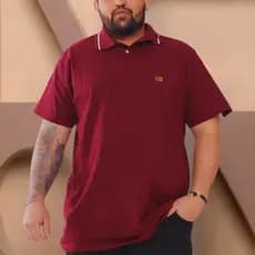 Camisa Gola Polo Premium Algodão Malha Fio 30  Moda Masculina Camiseta Original Grande Plus Size