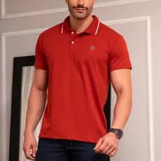 Camisa Gola Polo Original  100% Algodão Varias Cores Vermelha Laranja Camiseta Masculina Premium