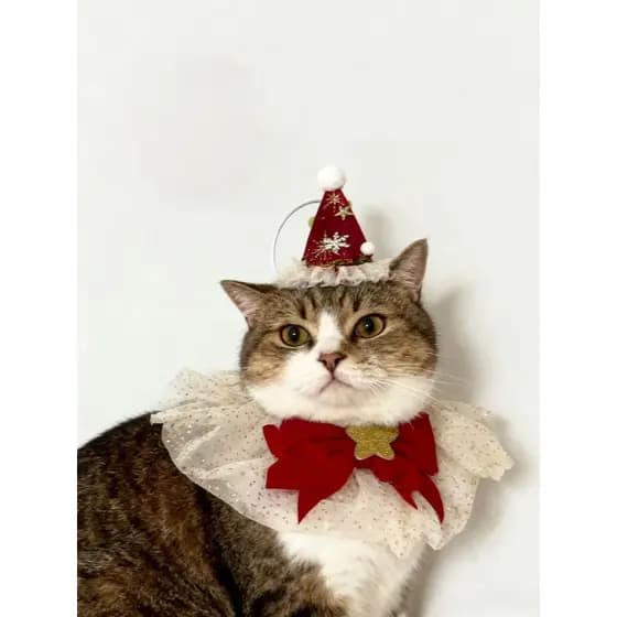 Acessórios natalinos para animais de estimação – chapéus, laços e coleiras de renda.
