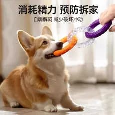 Brinquedo Anel para Cães – Mordedor Resistente, Limpeza Dental para Filhotes